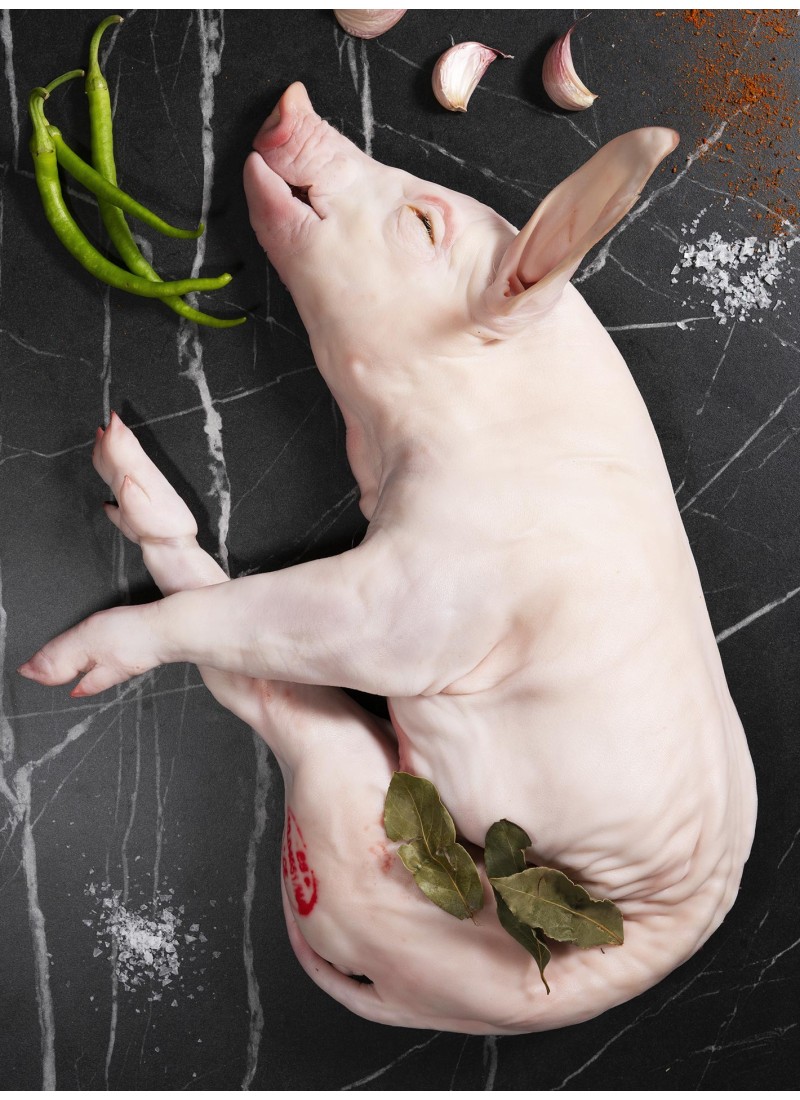 Cochinillo de Baztán/Navarra