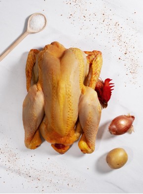 Pollo campero de Las Landas- Francia